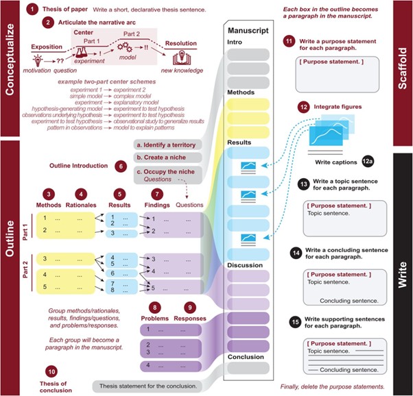 How to Write a Scientific Paper in 15 Steps